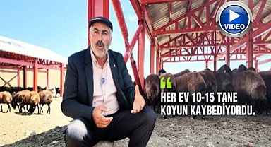 DAP'tan meralara hayvancılığı güçlendiren yatırım