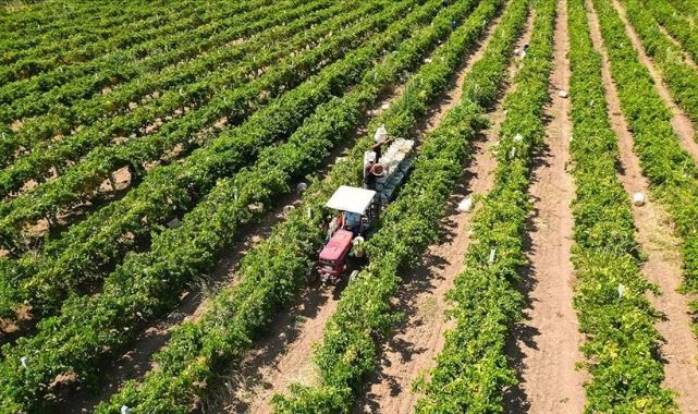 Doğuda motorin daha pahalı! Yük çiftçinin sırtında