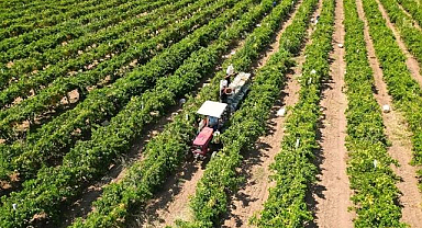 Doğuda motorin daha pahalı! Yük çiftçinin sırtında