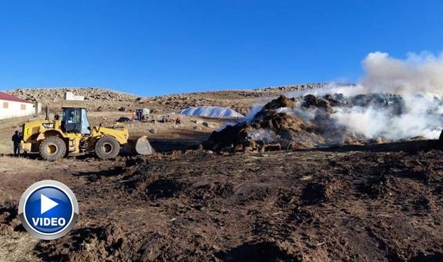 Erzurum'da 10 bin balya ot kül oldu