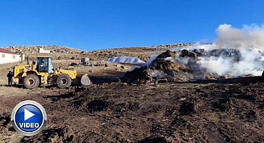 Erzurum'da 10 bin balya ot kül oldu