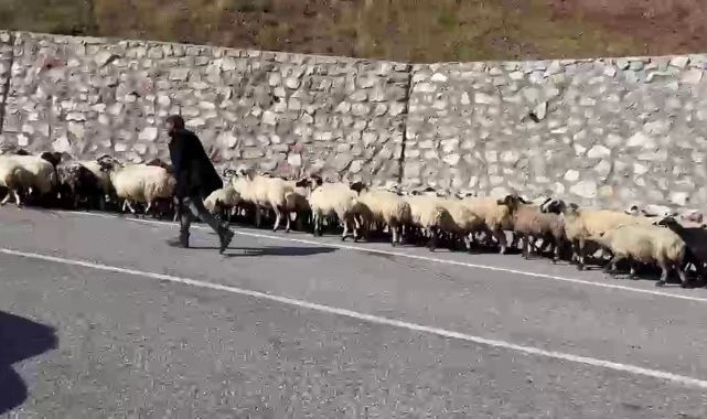 Erzurum'da göçerlerin zorlu mesaisi başladı!