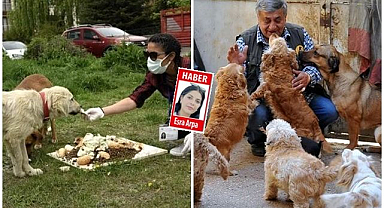 Erzurum'da sokak köpeği besleme yasağı! Kim, ne kadar  ceza alacak?