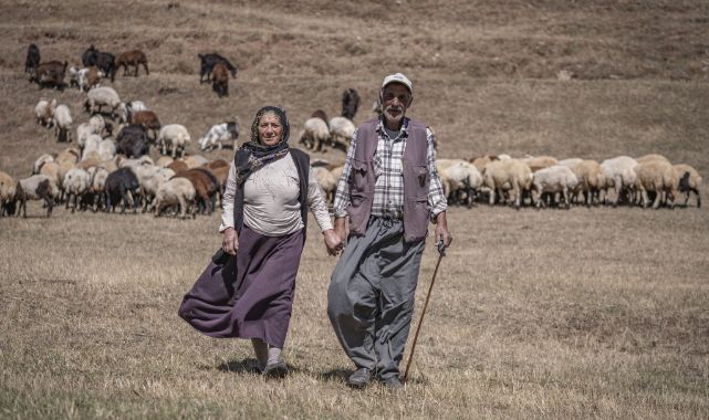 Erzurum'da yarım asırlık sevgilerini ve çobanlığı birlikte omuzluyorlar