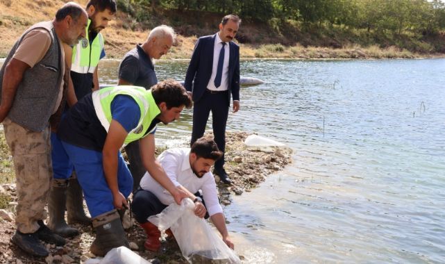 Göl ve göletlere 1,4 milyon yavru sazan bırakıldı