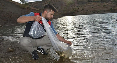 Göletlere 150 bin sazan yavrusu bırakıldı