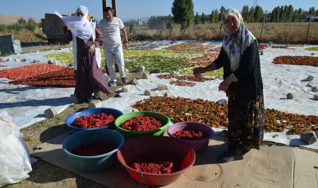 Güneşte kuruttukları sebzeler ev ekonomisine can suyu oluyor