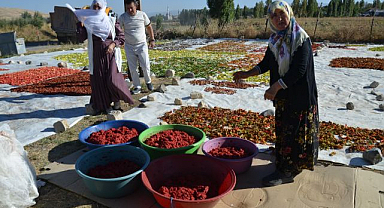 Güneşte kuruttukları sebzeler ev ekonomisine can suyu oluyor