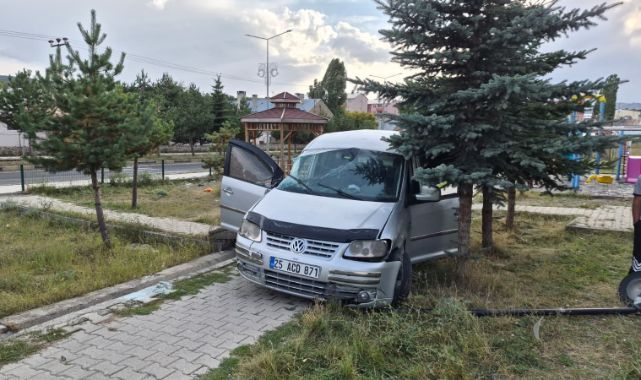Hafif ticari araç şarampole devrildi