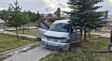 Hafif ticari araç şarampole devrildi