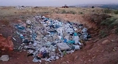 İki köyün sınırındaki çöplük hayvanların kabusu oldu