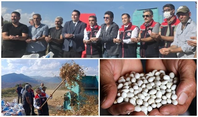 İspir ve Hınıs fasulyesinde üretim arttı