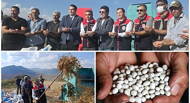 İspir ve Hınıs fasulyesinde üretim arttı