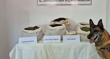 Jandarmadan uyuşturucu ve kaçakçılık operasyonları