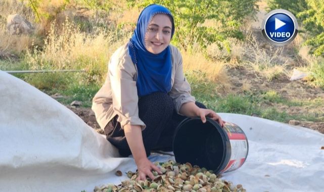 Kadın emeği toprağı berekete dönüştürdü!