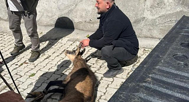 Köylüler halsiz yatarken buldular