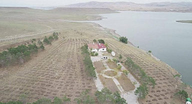 Kurumlar 