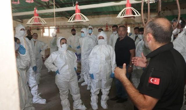 Kuş gribi salgınına karşı sahada tatbikat