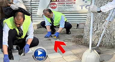 O bir Vali ama... Elinde spatula ot temizliyor!