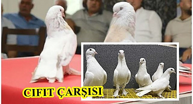 Onlar da süper ligde sayılır