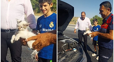 Otomobilin motoruna saklandı, itfaiye kurtardı!