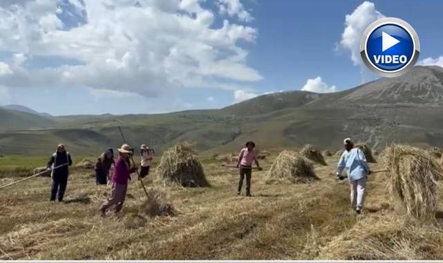 Sağanak yağışlar tarımı vurdu: Çiftçinin işi bir ay geriye kaldı