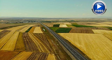Tarlalardan kartpostallık görüntüler