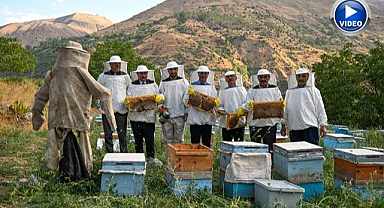 Yağışlar bal hasadını bereketlendirdi!