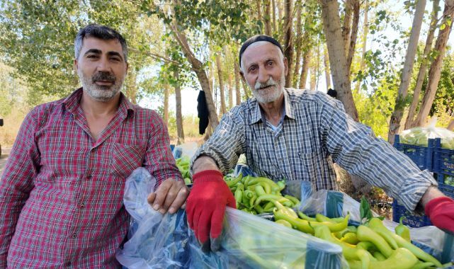 Yarım asırdır çiftçilik yapıyor