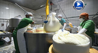 Yayladan sofraya uzanan gravyerin lezzet yolculuğu