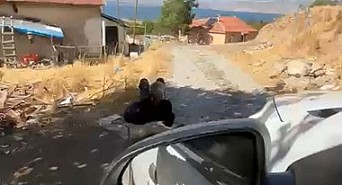 Yürek yakan görüntü! Yaşlı adam zincirle ağaca bağlandı