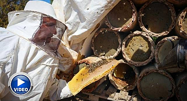 60 yıllık gelenek toprak kovanlarda yaşatılıyor