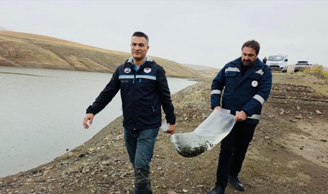 8 gölet 700 bin sazan yavrusuyla şenlendi