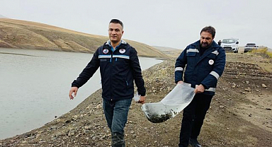 8 gölet 700 bin sazan yavrusuyla şenlendi
