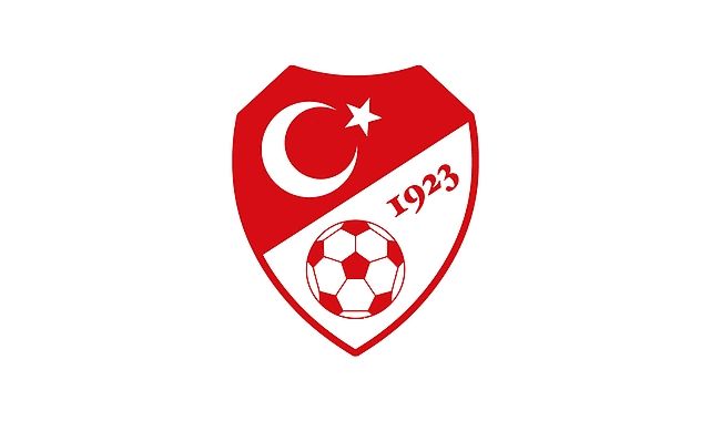 A Milli Takım'ın yeni teknik direktörü belli oldu