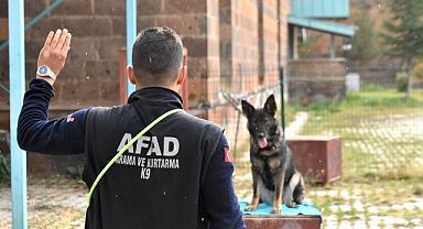 Afetlerde hayat kurtaracak köpekler göreve hazırlanıyor