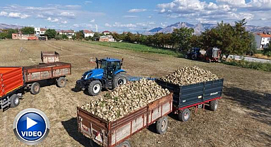 Alım startı verildi, hasat başladı