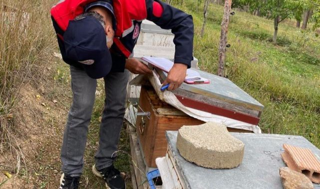 Arılı kovan desteği için saha kontrolleri sürüyor