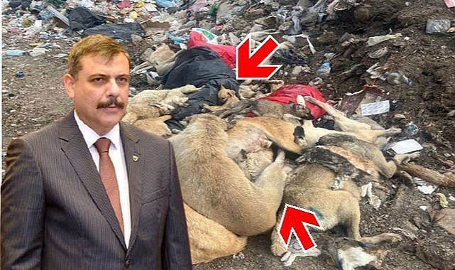 Bakan Çiftçi: ''Hayvanlarımızın bakımını ve refahını da gözeteceğiz'