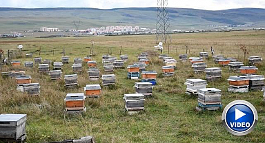 Bal hasadı bitti, 2027 sezonu için kış hazırlıkları başladı