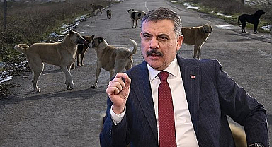 Beklenen haberi Bakan Çiftçi verdi! Haftaya bitiyor...
