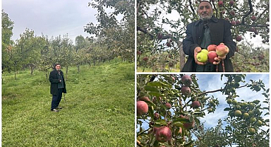 Çorak toprakta mucizeyi başardı! Tek ağaçta iki renkli elma yetiştirdi
