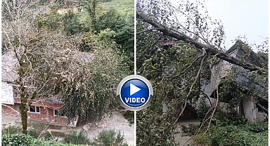 Devrilen ağaç evin çatısına düştü!