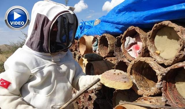 Dünyaca ödüllü karakovan balında hasat zamanı