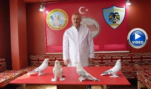 Erzurum'da 40 güvercini için ev kiraladı! 