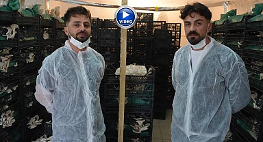 Erzurum’da genç girişimcilerin istiridye mantarı hedefi