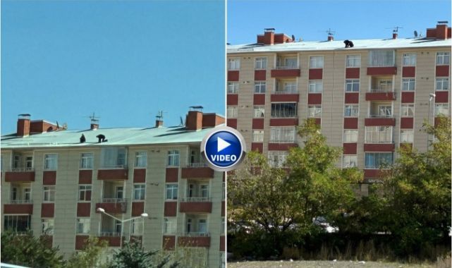Erzurum'da ölümle dans! 6 katlı binanın çatısına çıktılar...
