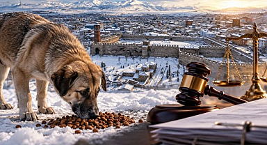 Erzurum’da sokak hayvanlarını besleme yasağına dava açıldı 