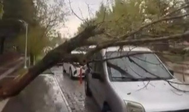 Fırtınaya dayanamadı, aracın üzerine devrildi