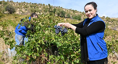 Gençler yaşlı çiftin imdadına yetişti